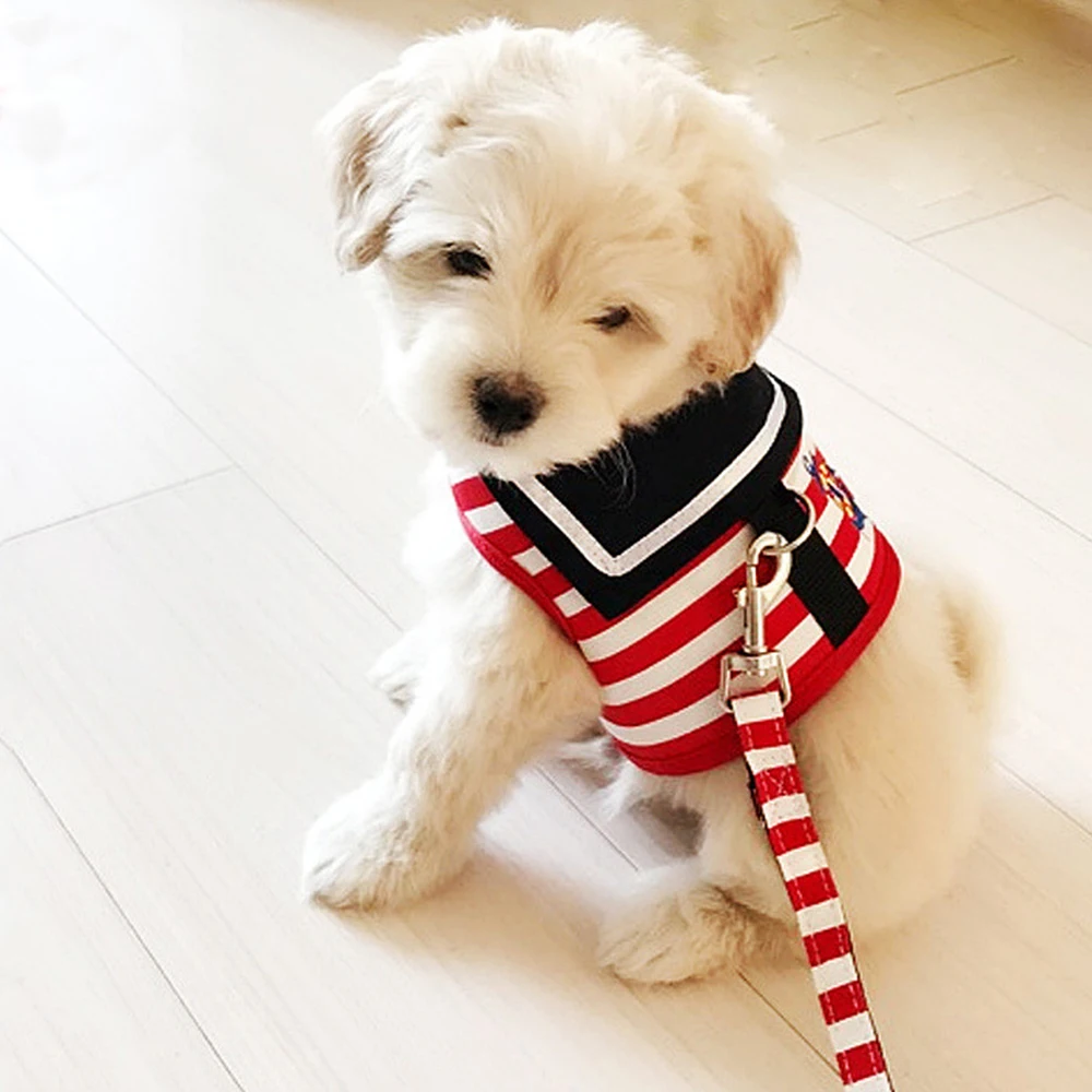 

Cat Dog Leash Kitten Puppy Reflective Dogs Harness And Leash Set Dogs Vest Harness Leads Pet Clothes For Small Dogs