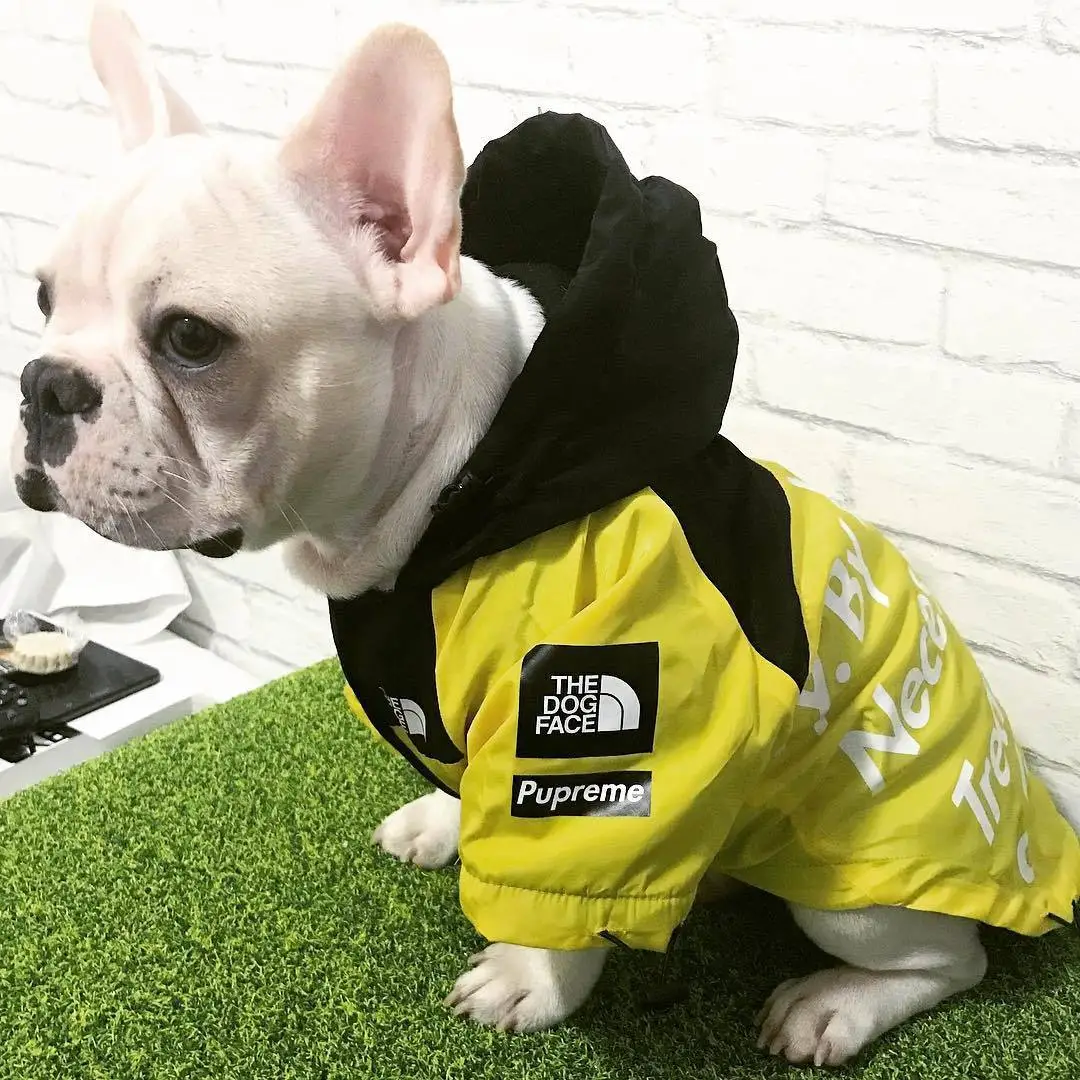 Модная ветрозащитная непромокаемая одежда для собак пальто для собак Одежда для домашних животных
