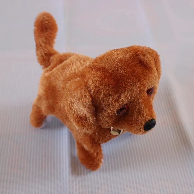 2861199675_748380050