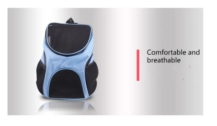 QQ截图20191212111731_副本