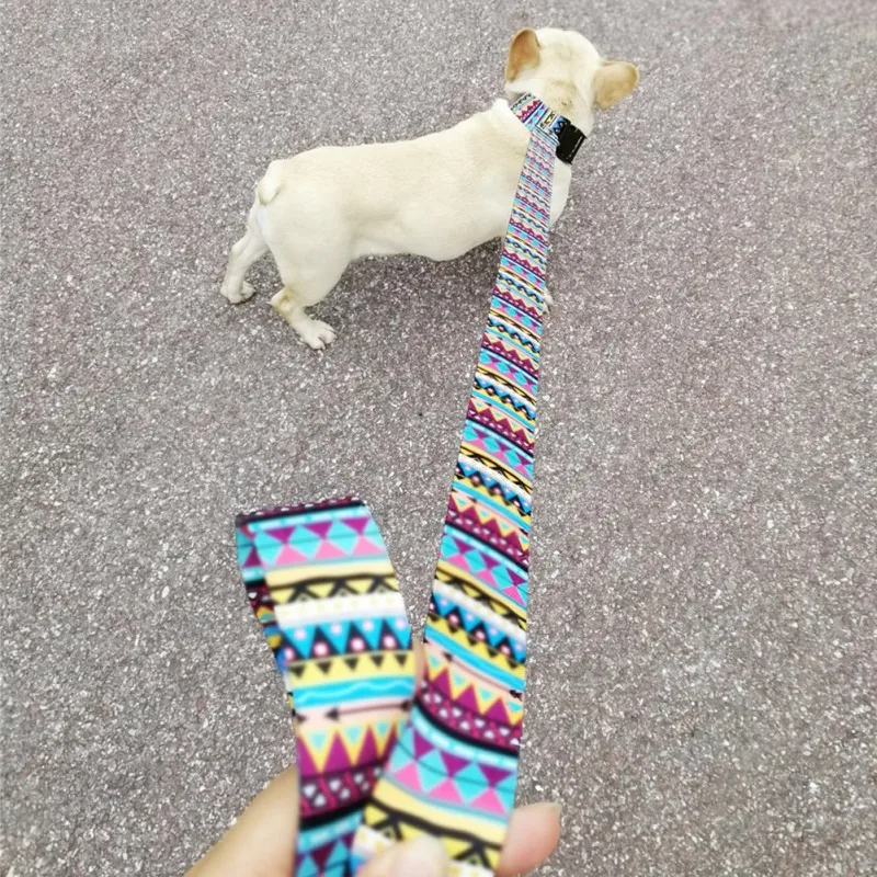 Pet красочный шейный ремень Регулируемый воротник с пряжка для ремня безопасности и прочный поводок и поводок кольцо отличный материал Мода