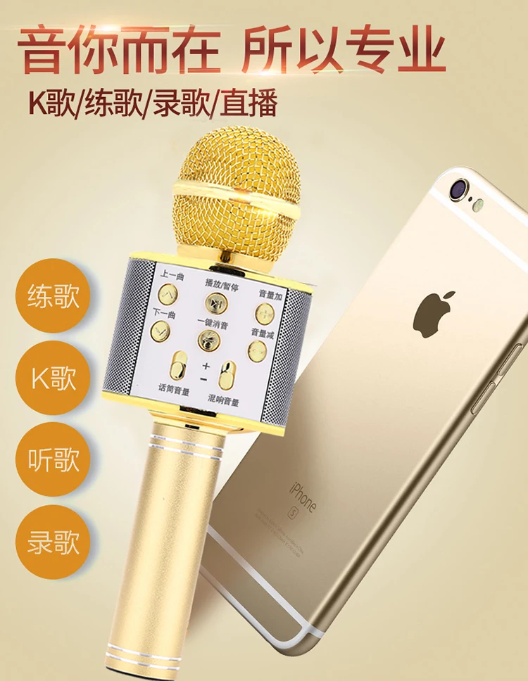 Children Carla Wireless Singing Microphone OK Mike Fan PA Rechargeable Performance Colorful Box GIRL'S Emotional Toy