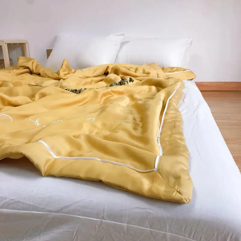 

2019 New Style 60s Lenzing Tencel Silkworm Chrysalis Protein Summer Quilt (Photo Shoot)