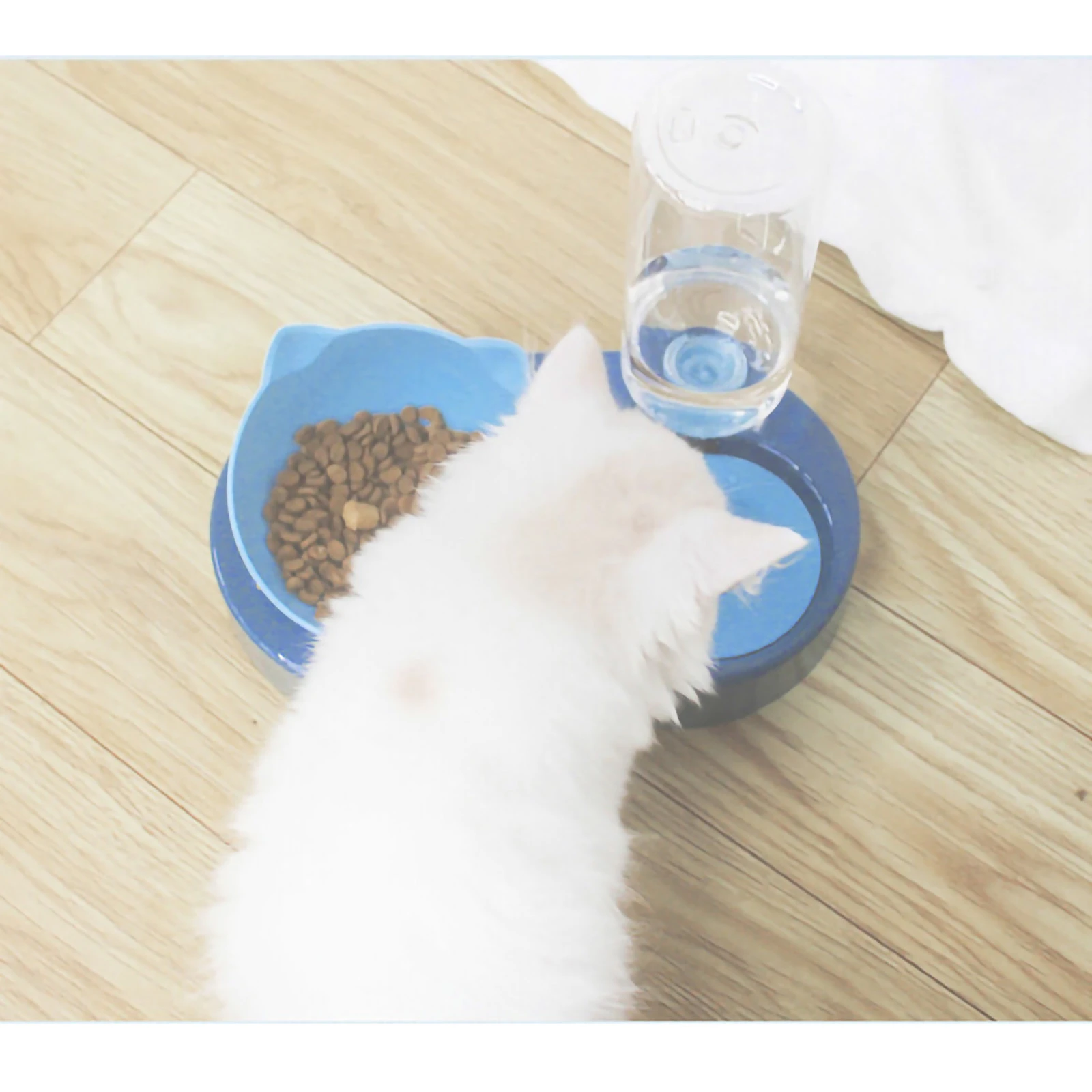 Mi Gato Gotea Agua Por La Boca 2-en-1 gato Bol dispensador de agua automática de almacenamiento de agua  para mascotas perro gato comida contenedor de alimentos con bebedero para  Waterer alimentador - AliExpress Hogar y jardín
