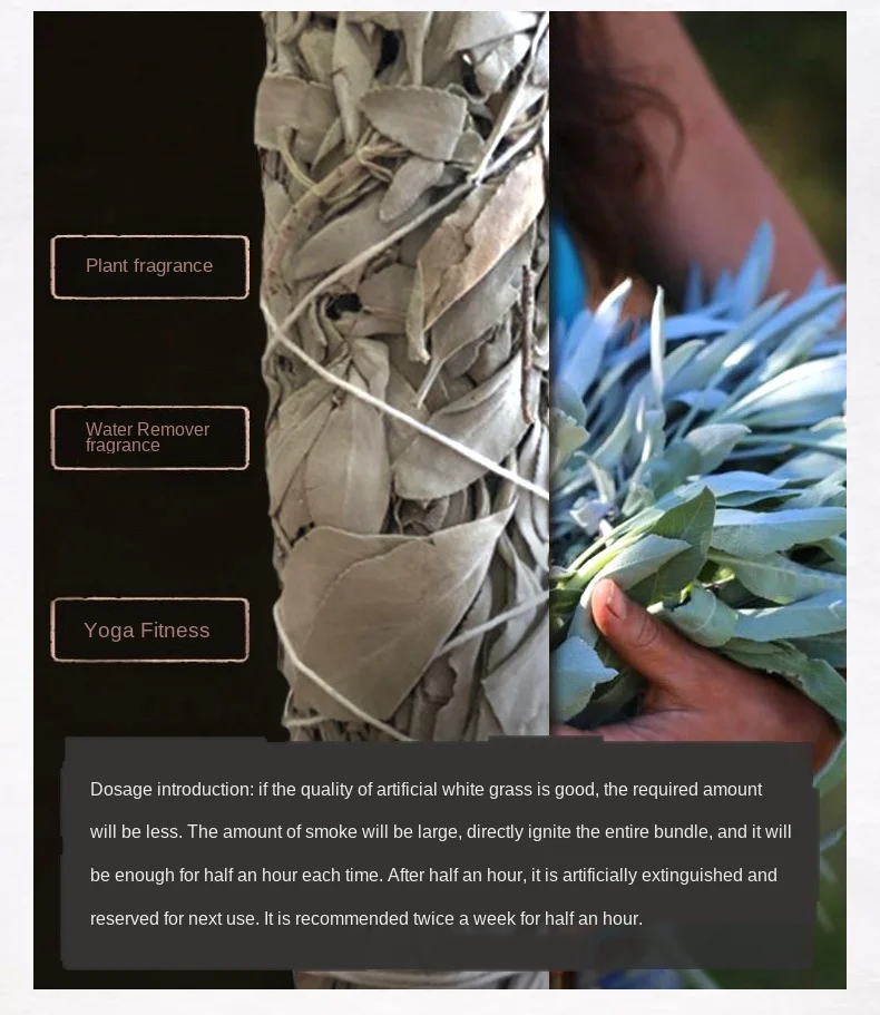 H83104826f3814b94a054fef96229b723w.jpg?width=790&height=911&hash=1701