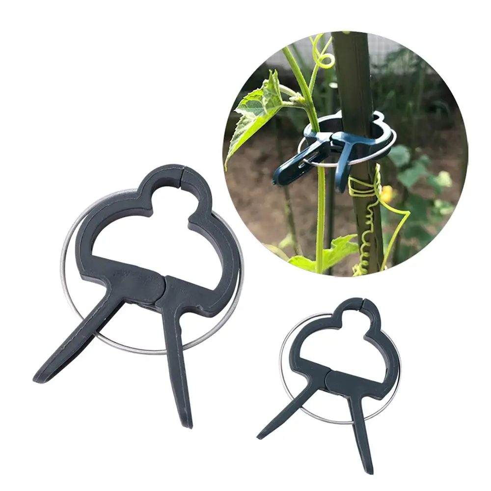 Plant Fixed Clips Reusable Garden Greenhouse Bracket Fixed Plants Vine Flower Seedling Stem Garden Support Supplies 20Pcs plant clips plastic plant clips