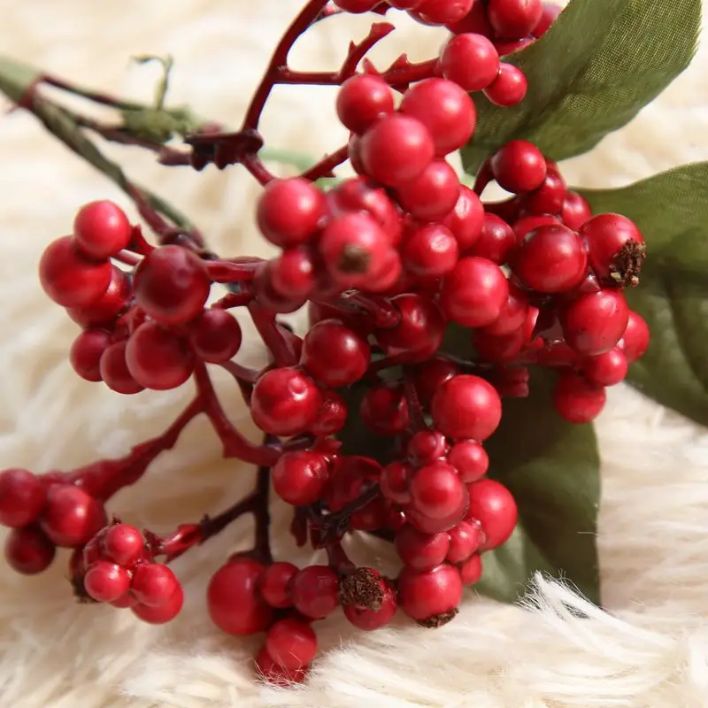 3980073731_516171610