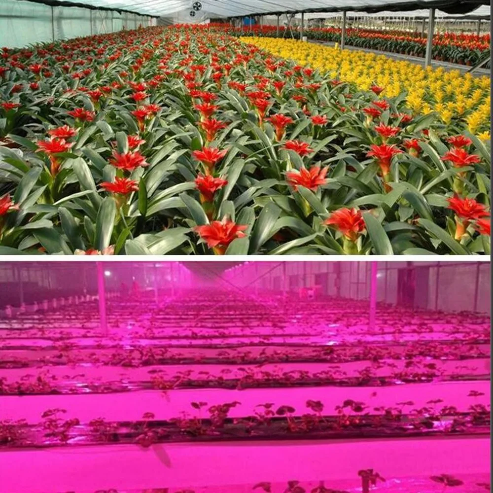 Full Spectrum Led Plant Grow Light Lamp For Plant Indoor Nursery Flower Fruit Veg Hydroponics System Grow Tent Light