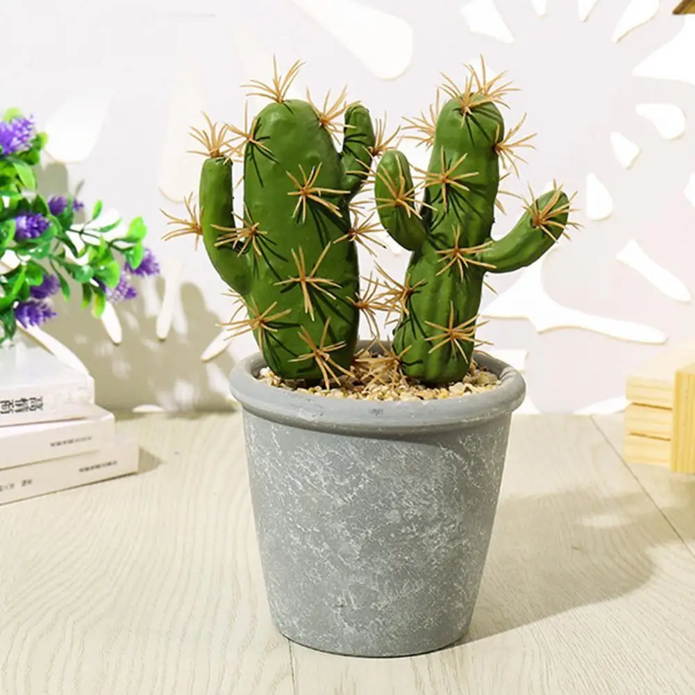 Faux Cactus attrayant en pot, fausse plante de Simulation de mélamine,  décoration de jardin | AliExpress