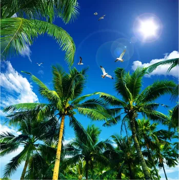 

CJSIR Custom Ceiling Wallpaper Mural Coconut Tree Blue Sky White Clouds Seagull Ceiling Photo 3d Wallpaper Papel Pintado Decor