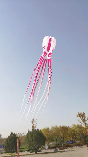 free shipping octopus kite pendant large soft kite display kites for adults parachute flying outdoor toys koi moscas factory 4