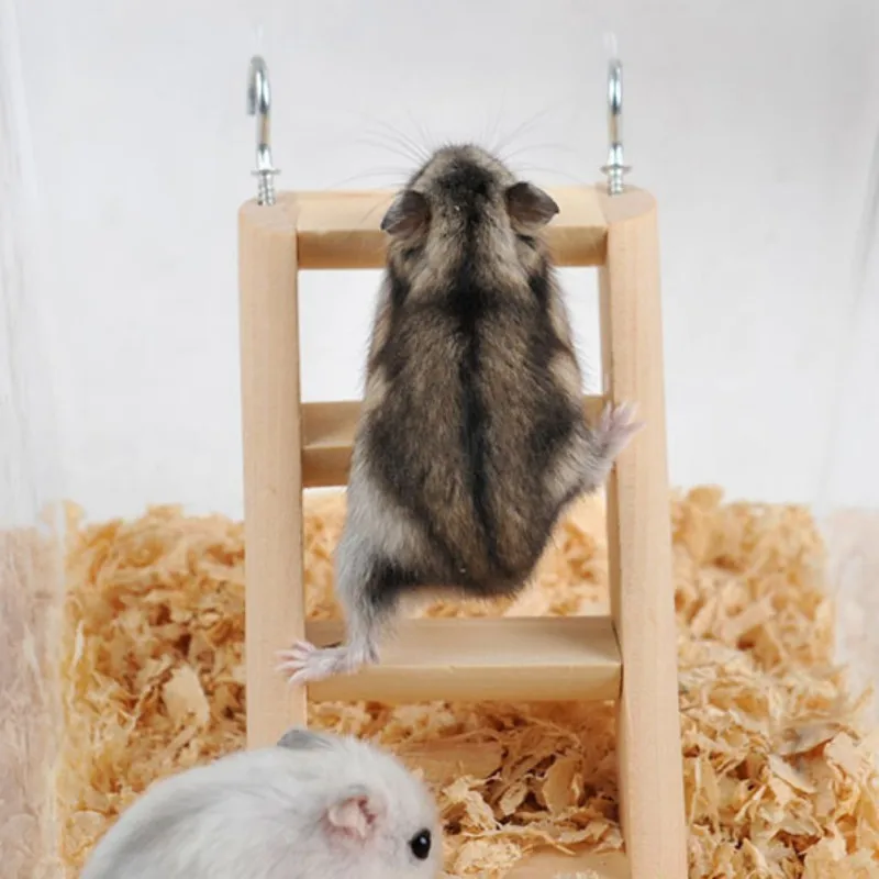 Натуральные деревянные игрушки для мелких животных хомяк игрушки-Жвачки деревянная подвесная лестница для лазания для маленьких домашних животных мышь кошки-мышки спортивное оборудование