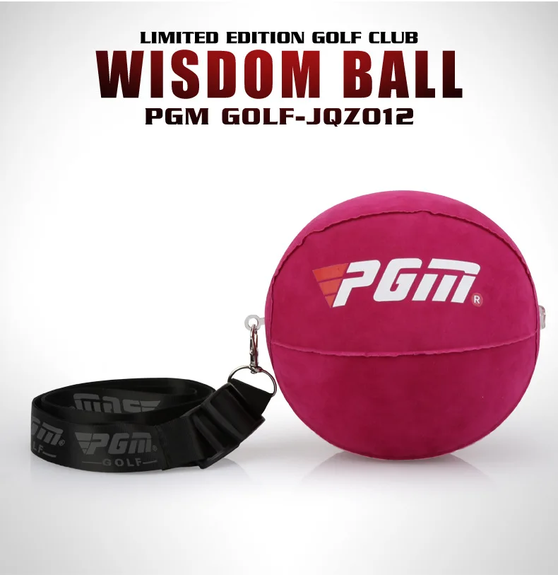 PGM Golf Wisdom Swing тренажер для рук корректор вспомогательная коррекция Тренажер для гольфа товары для гольфа JZQ012