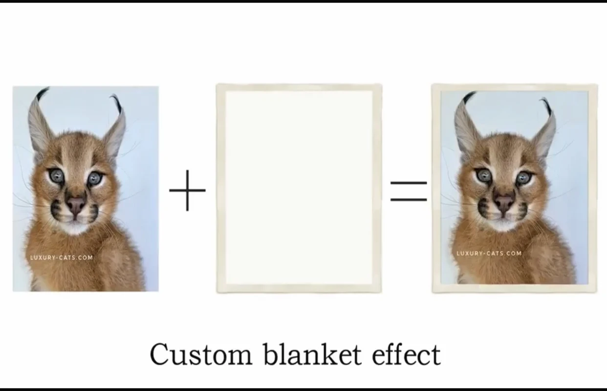 

LISM digital printed double thick blanket anti-pilling anti-fading custom picture double lambskin blanket
