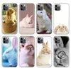 Mobile Phone Accessories