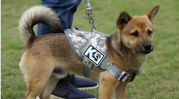 Военный Тактический жгут для собак K9, жилет для собак, нейлоновый банджи-поводок, поводок для тренировок, бега для средних и больших собак, немецкая овчарка