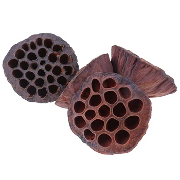 

New 1pcs Natural Dried Flower Lotus DIY Decor for Home Party Office Decorative Pressed Flowers