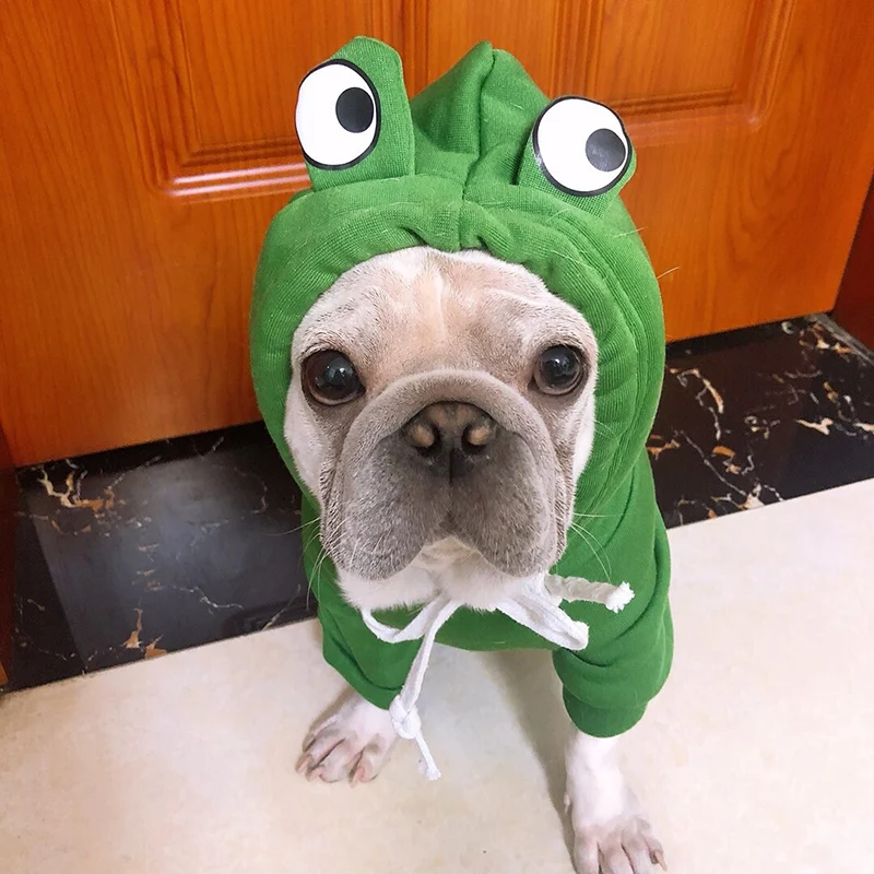  Funny Dog Hoodie, Dog Sweater Cute Apple Banana Frog Shape  Warm Jacket for Pet Fashion Cold Weather Wear Outfit Outerwear for Small  Medium Dogs Cats Green S : Pet Supplies