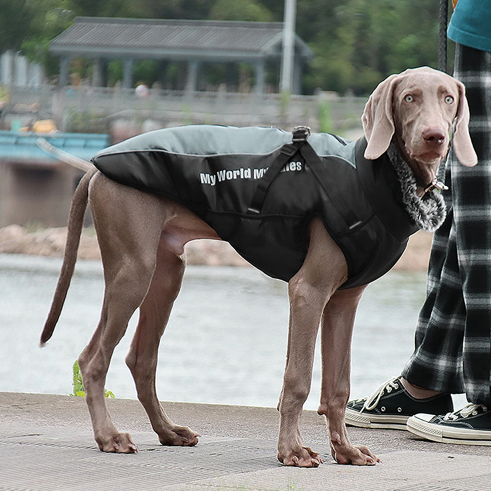 inverno roupas de cão casaco reflexivo grosso cães roupas colete com arnês prova dwaterproof água pet roupas gola pele grande cães jaqueta