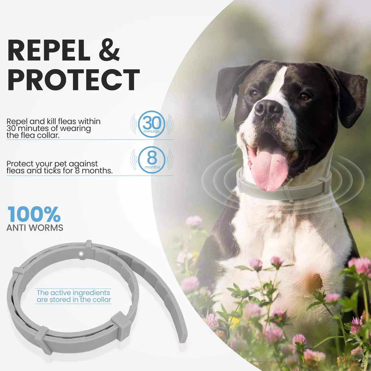 Anti Flea Ticks Insect Mosquitoes 8 Months Protection Waterproof Long Lasting Dog Collar Custom Puppy Cat Pet Collars