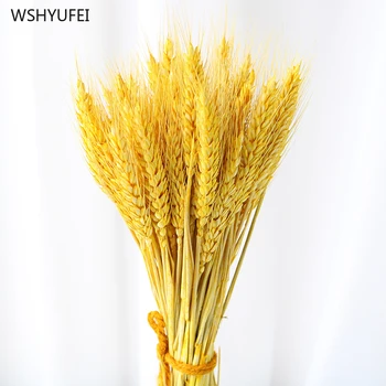 

100pcs Dried flowers natural Air dried Wheat ears Wheat farmhouse style Home Decoration Vase decoration farmhouse