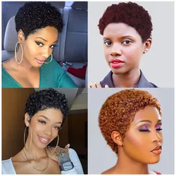 100% Real Remy Human Hair Wig Short afro curly Costume Wig for women 8 inch