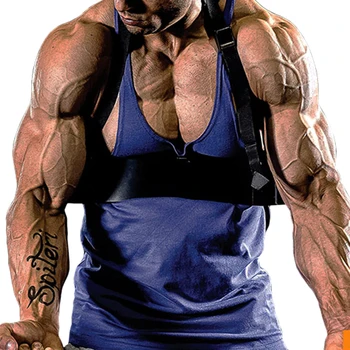 

Fitness Equipment Bodybuilding Biceps Training Weight Lifting Arm Forearm Trainer Arm Blaster Adjustable Gym Training Board