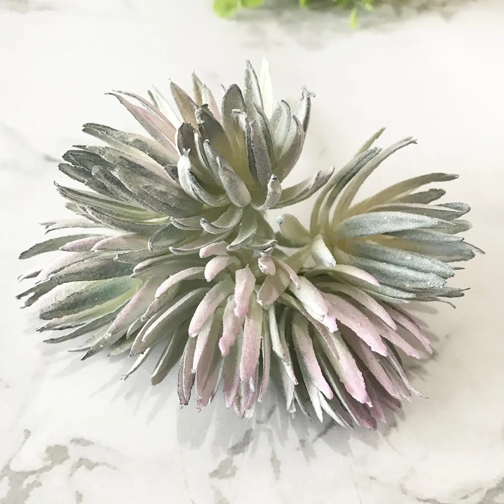 2020_07_09_18_00_IMG_8735 副本