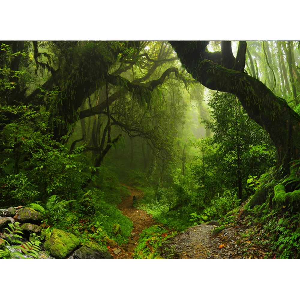 

Tropical Rain Forest Green Moss Grass Portrait Photo Backgrounds Customized Photography Backdrops For Photo Studio