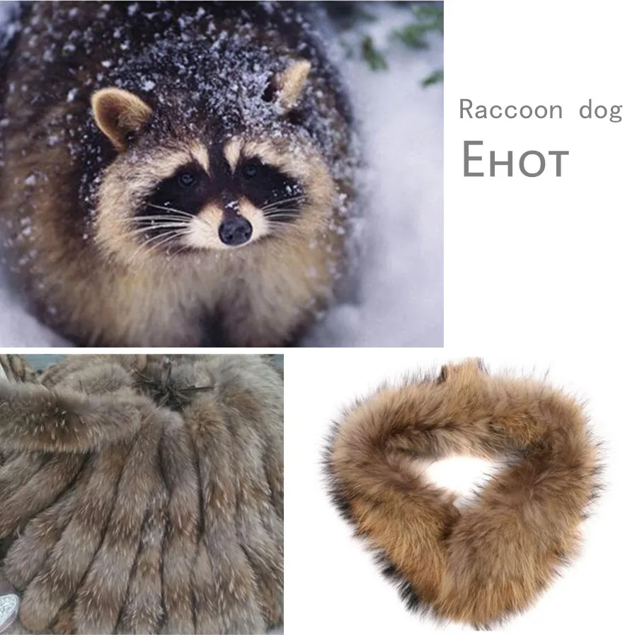 HTB1jXLtKbSYBuNjSspiq6xNzpXaJ