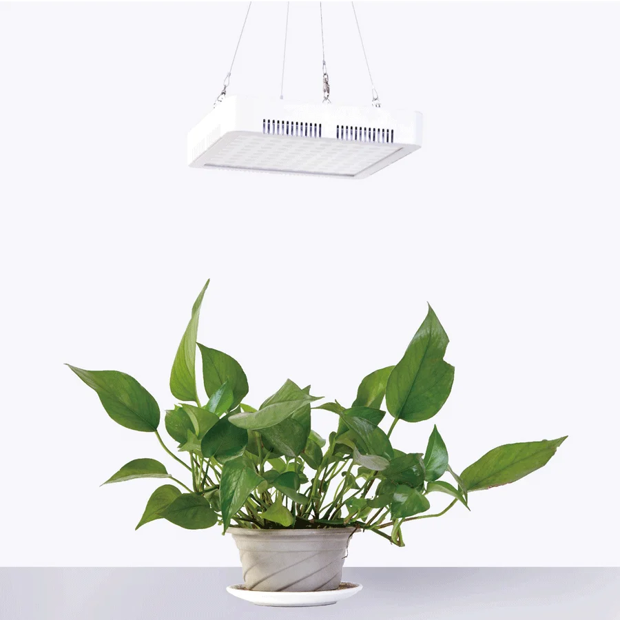 

white Full spectrum 3500k 5000k 6500k led white grow light 70w pendant adjustable phyto lamp for plant veg seedlings flower 120v