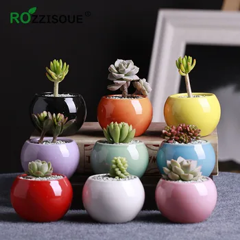 

Mini Cactus Pot Ceramic Flower Pot Small Round Ball Succulent Flower Bonsai Maceta White Porcelain Succulents Plants Flowerpot