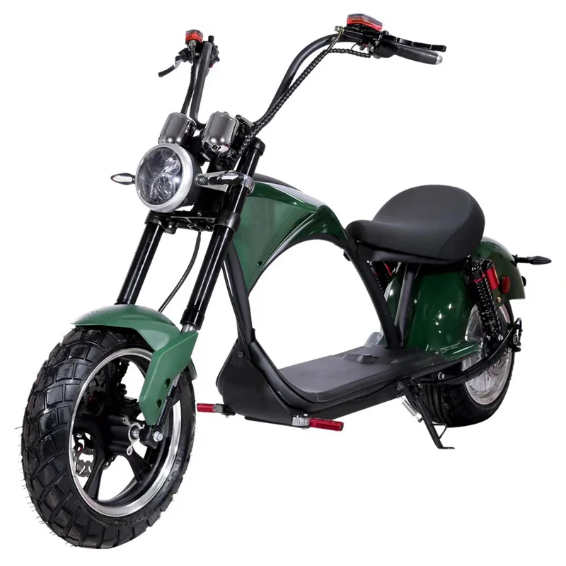 Motor Power 2000W Fat Tyre Bicycle Motorcycle Outdoor Sport Electric Scooter Bike For Teenagers Adult