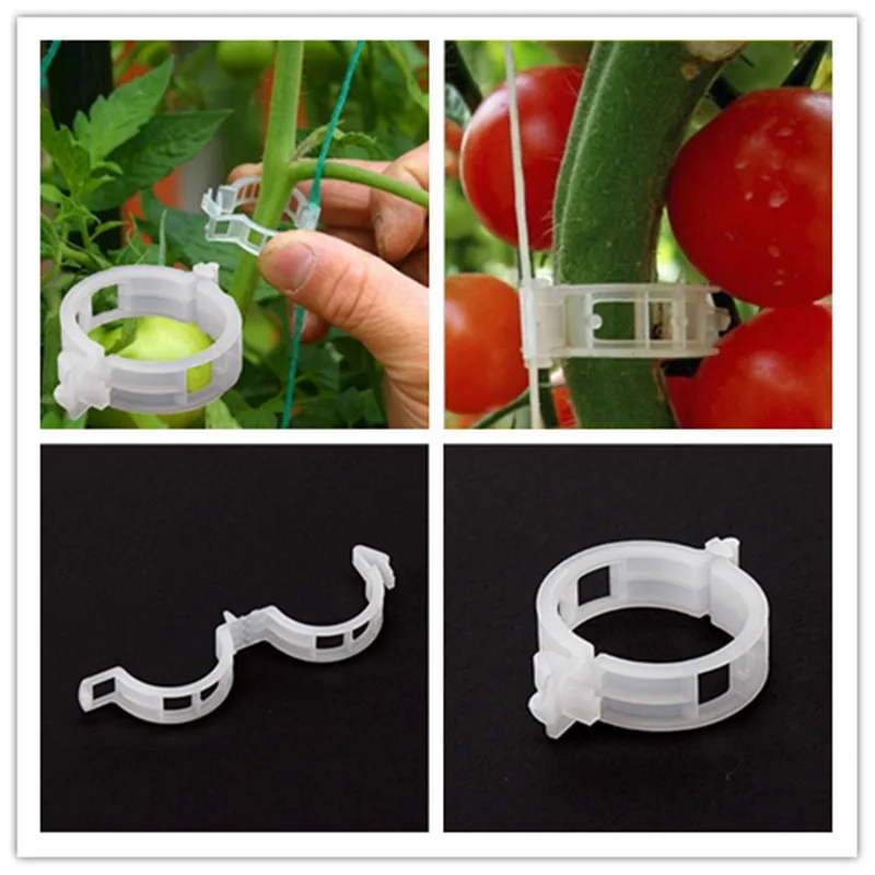 50pcs plant clip hanging bracket rattan / twig / root / silk / cage plant fixative tomato clip vegetable garden decoration