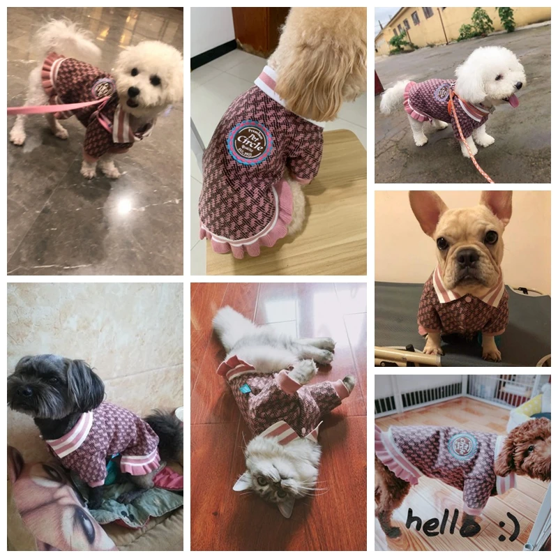 School Style Dog Clothes For French Bulldog Autumn Winter Pet Outfit Dresses Coat Girl Two Legs Coat Cat Yorkshire Accessories