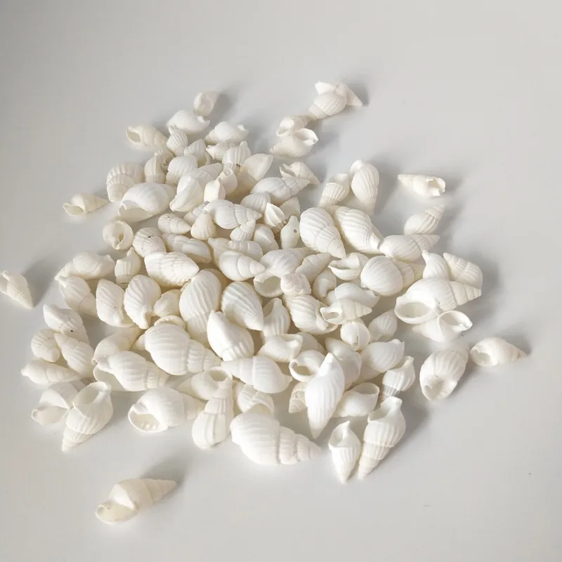 

Happy Kiss white 100pcs/Lot Small Miscellaneous Conch Natural Craft Sea shell Aquarium Fish Tank Landscape Home Decor DIY bottle