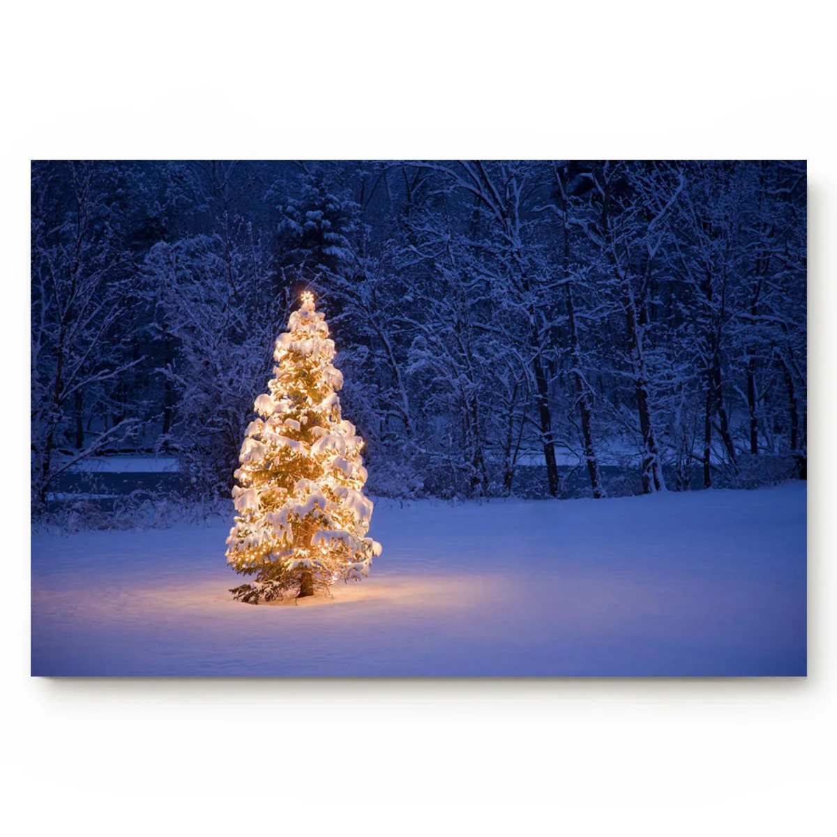 Christmas Tree Shining Beautiful Decoration Outdoor Fir Snow Winter Morning Evening Gold Bathroom Accessories Door Mat | Дом и сад
