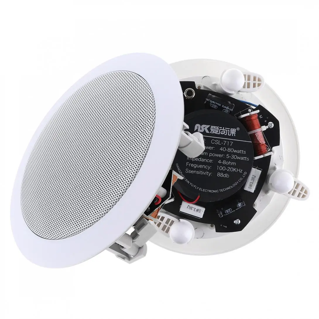 5 Inch 20W Coaxial Fixed Resistance Radio High