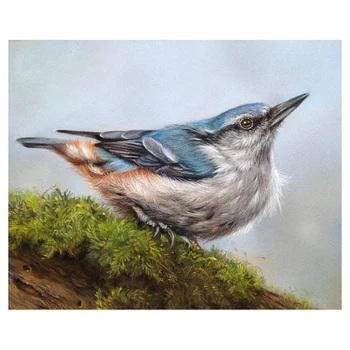 

DIY 5D Diamond Painting Full Round Drill Kit Rhinestone Picture Art Craft for Home Wall Decor White Bird