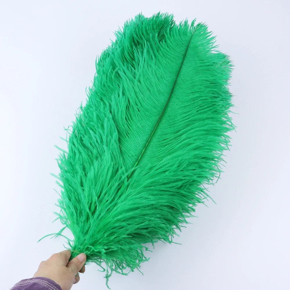 TS0145036 45-50cm ostrich feathers 4