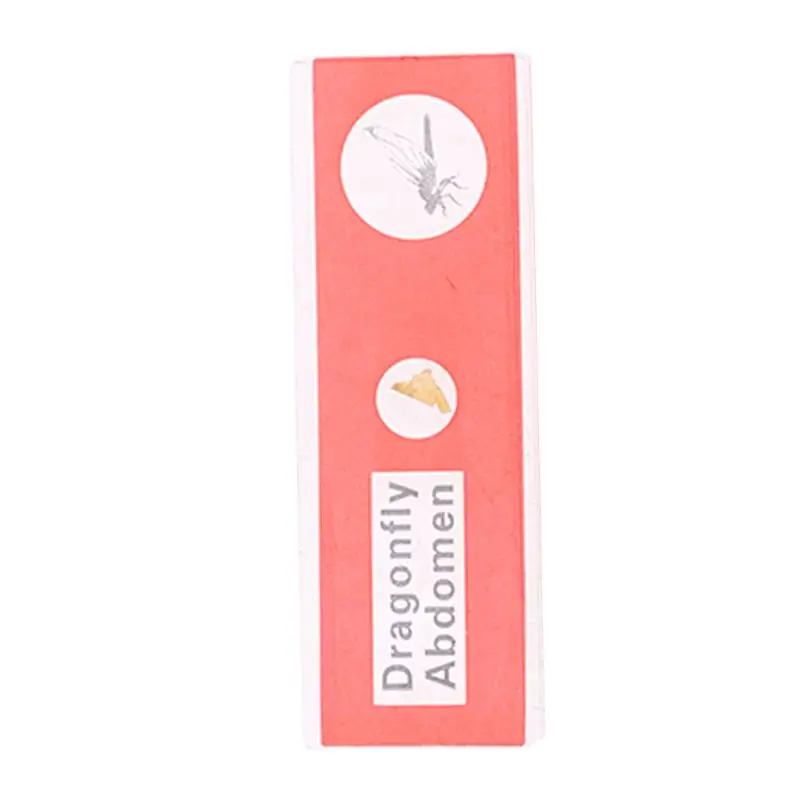 48pcs/set Kids Plastic Prepared Microscope Slides Biological Specimen Sample 203C | Инструменты