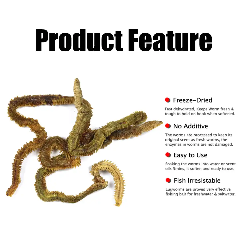Worms for saltwater fishing Clearance