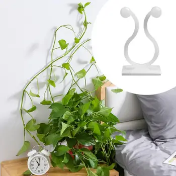 

10pcs Plant Climbing Wall Clip Indoor Binding Invisible Hook Reusable Garden Vine Support Vegetable Non-marking Self-adhesive