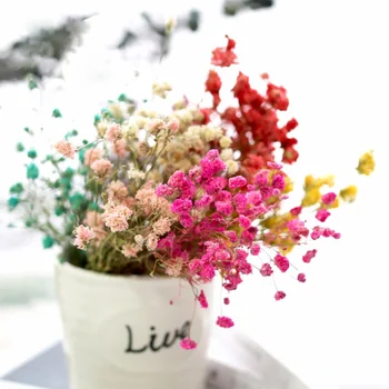 

DIY scented candle material dried flower Gypsophila handmade material 1g pack