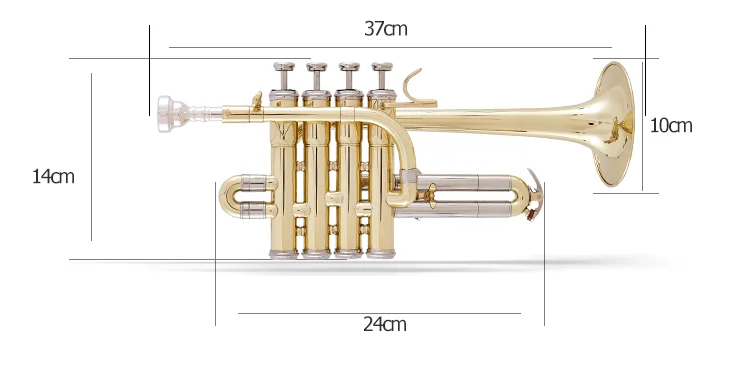 QQ图片20200221224453