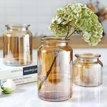 

Glass Vase Home Small Hydroponic Plant Glass Bottle Living Room Decoration Dried Flower Decoration Transparent Flower Vase WY605