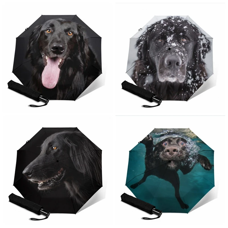 dog sun umbrella