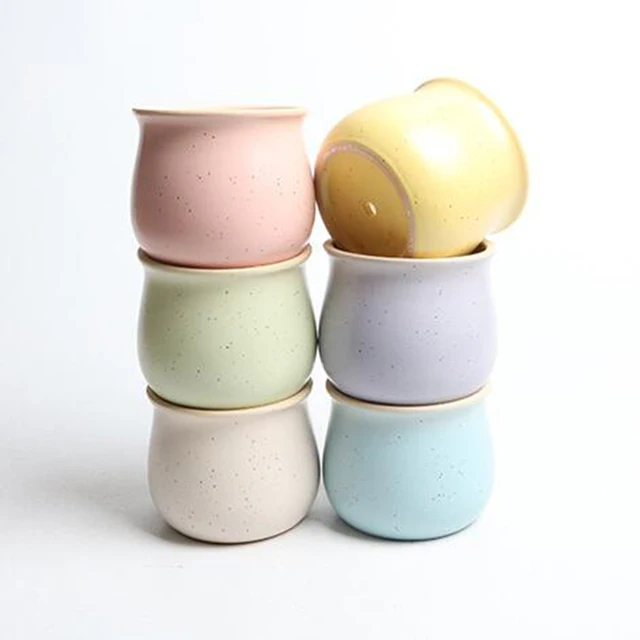 6 Colors Simple Pure Color Ceramic Planter Fleshy Plant Pot Flower Plant Vase Micro Landscape Home Garden Decoration 3