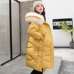 Новое поступление 2019, зимняя куртка для женщин в Корейском стиле, с капюшоном, утепленная меховая женская верхняя одежда, парка, длинное