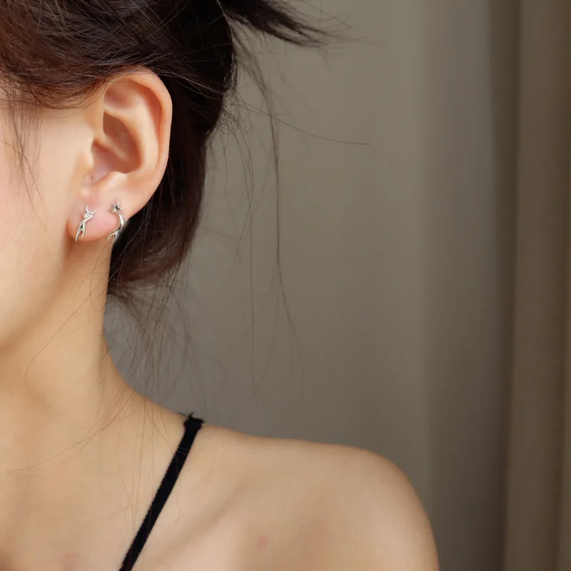 13762413732_1646359543